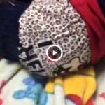 【Vine動画】ジャニーズ系スリム美少年DKのパンツをずらしてスリ筋尻を鑑賞ｗ