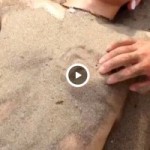 【Vine動画】スリ筋イケメンの砂に埋もれた乳首を掘り出す、夏の海の思い出…